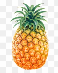 Png Background - Pineapple
