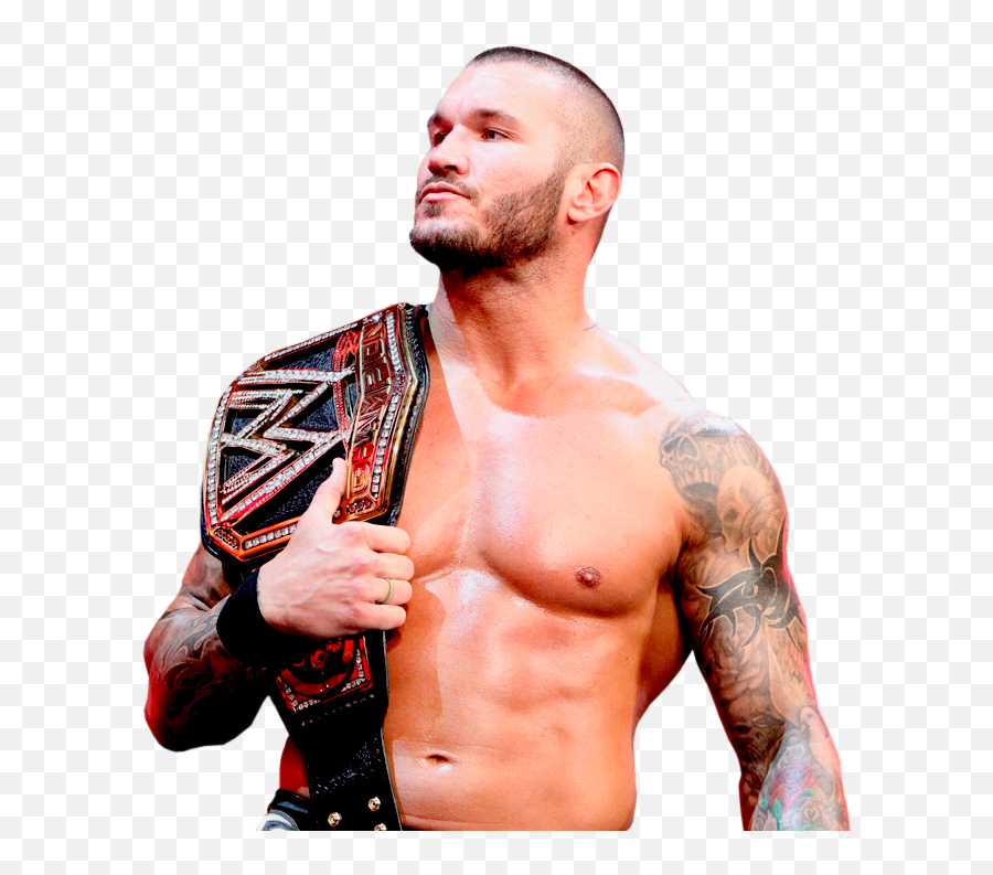 Randy Orton Icon Transparent Png Image - Navel,Wwe Icon Png