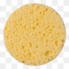 Round Sponge Transparent Png - Sponge,Sponge Png