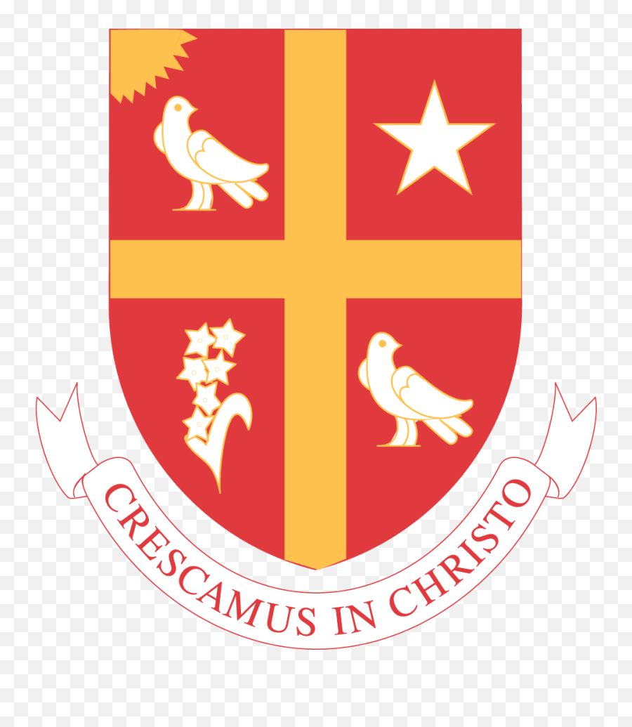 Ust Rocks My Socks Givecampus - University Of St Thomas Houston Logo Png,St Thomas More Icon