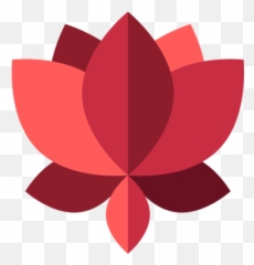 Interview With A Crypto Developer Carlos Baeza Negroni - Floral png
