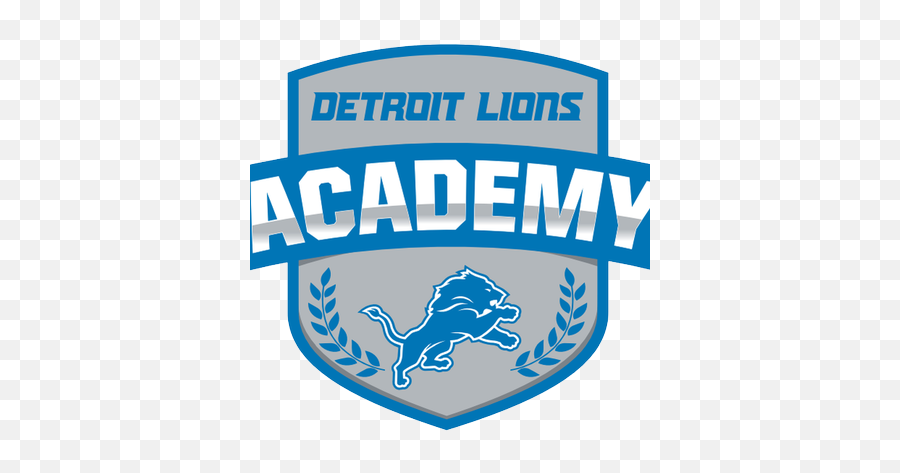 Detroit Lions Academy - Detroit Lions New Png,Detroit Lions Logo Png