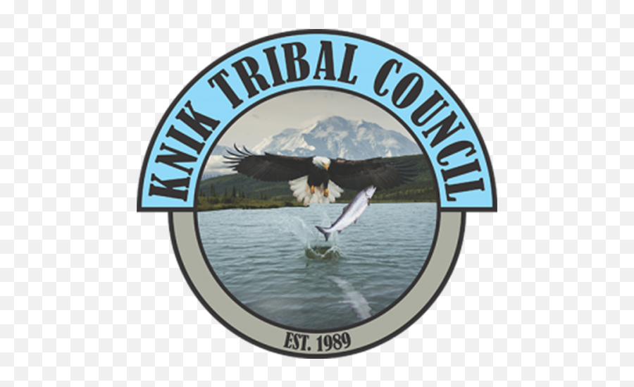 Knik Tribal Council - Knik Tribal Council Logo Png,Tribes Icon