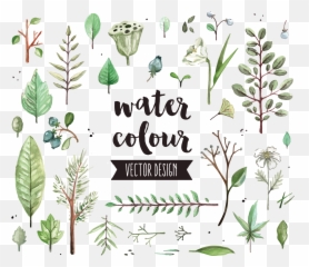 Download Hd Watercolor Painting Leaf Icon - Gypsophila And Icons png