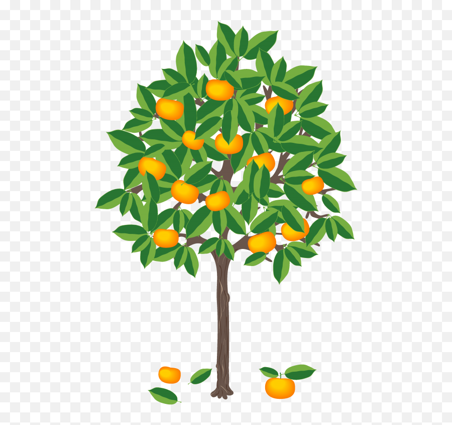 Leaf Clementine U2013 Be Climate - Mandarine Tree Clip Art Png,Clementine Png