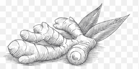 Ingredients Healthy Food Brands - Ginger Black And White Png,Turmeric Png