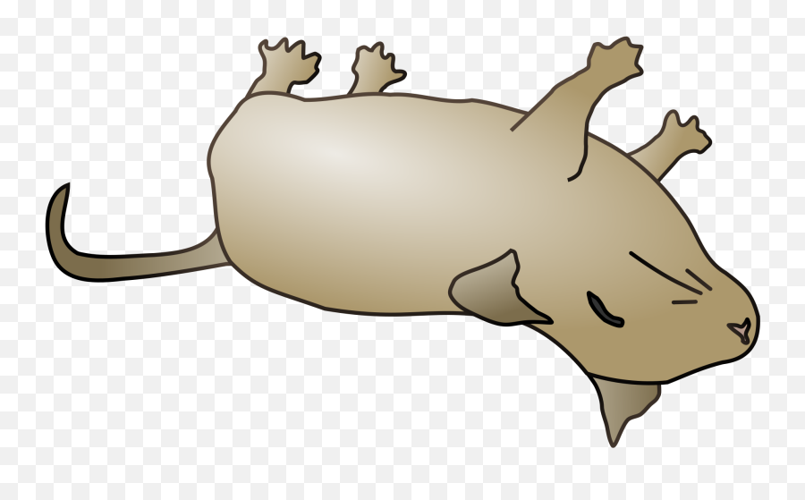 Library Dead Fish Png Files - Cartoon Dead Animal Png,Dead Fish Png
