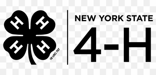 Logos Graphics New York State 4 - Black H png