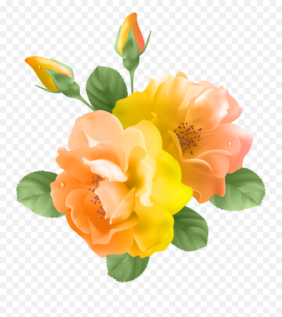 Library Of Orange Yellow And White Roses Jpg Free Download Png
