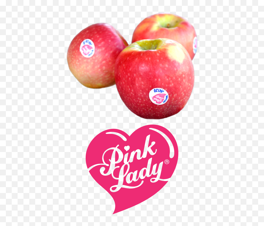Was Given Registration In The United States For - Pink Mcintosh Png,Apple Logo Image