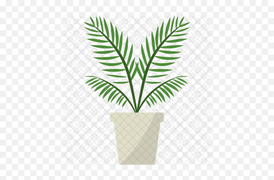 Parlor Palm Plant Icon - Houseplant Png,Palm Plant Png