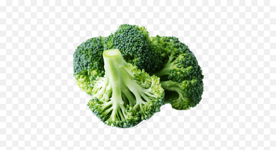 Cameron Cai Xin Cutted U2013 Fresh Pasar - Broccoli Vitamin A Foods Png,Brocolli Png