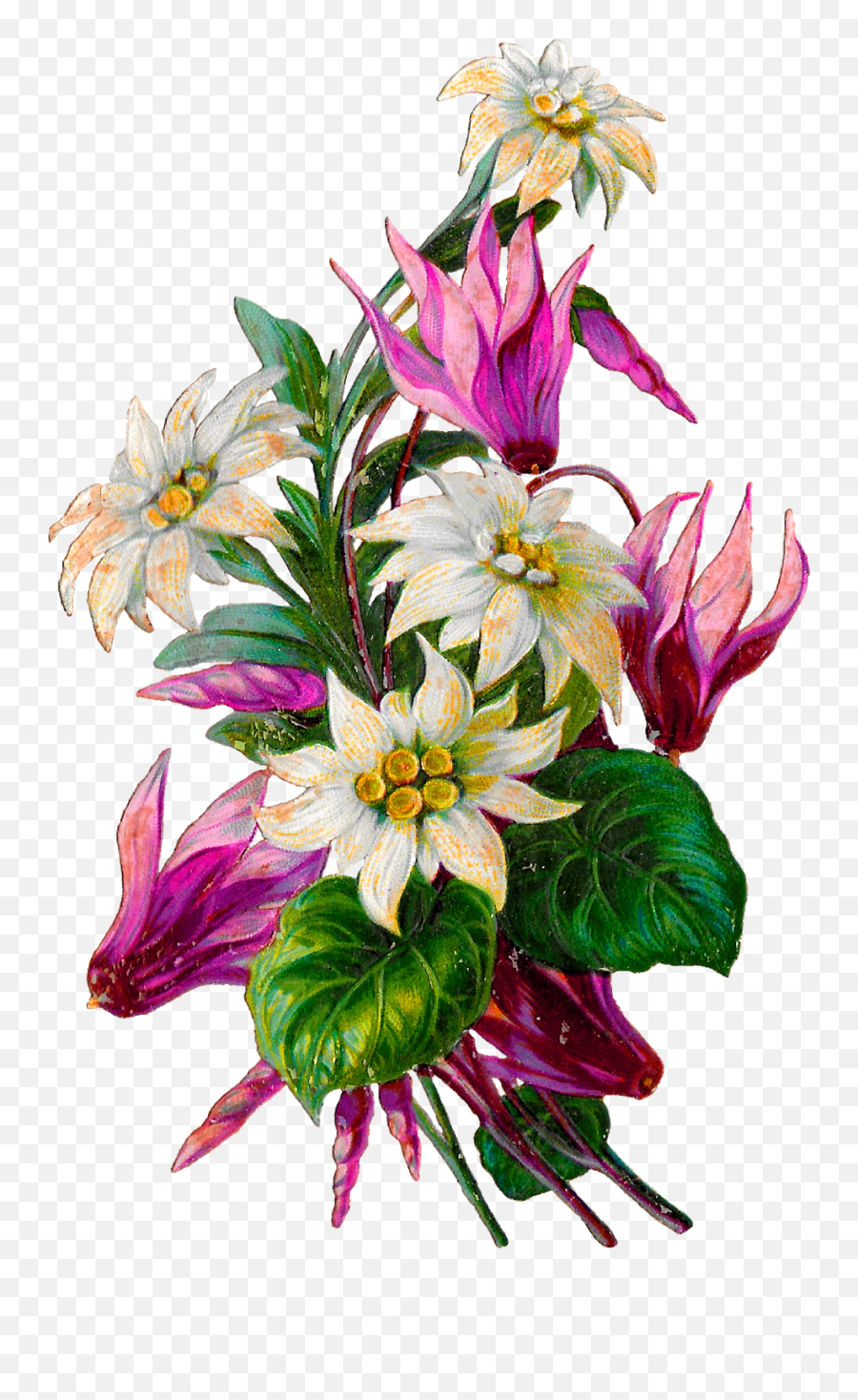 Clip Art Hd Png Download - Clip Art,Mexican Flowers Png