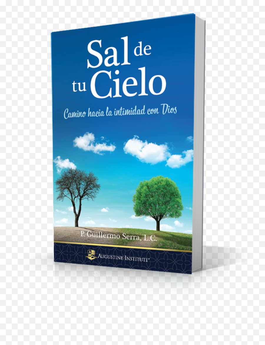 Download Sal De Tu Cielo - Flyer Hd Png Download Uokplrs Suelos Con Arboles,Sal Png