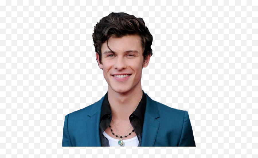 Shawn Mendes Png - Formal Wear,Shawn Mendes Png
