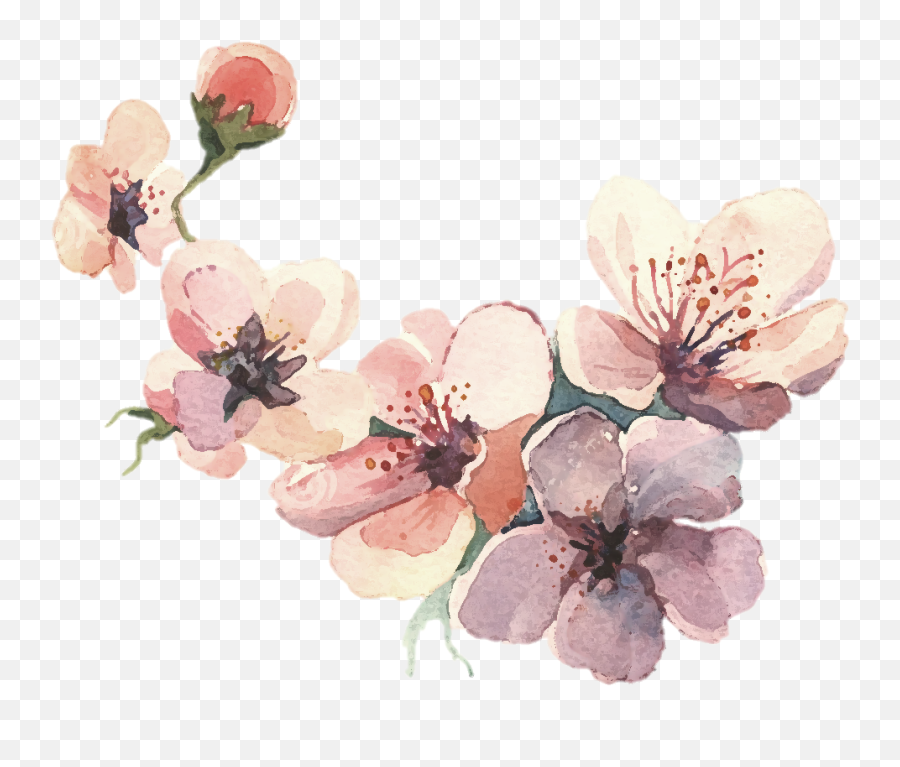 Watercolor Painting Water Color Svg - Watercolor Floral Drawing Color Png,Flower Drawing Png