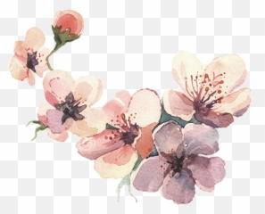 Watercolor Painting Water Color Svg - Watercolor Floral Drawing Color Png,Flower Drawing Png