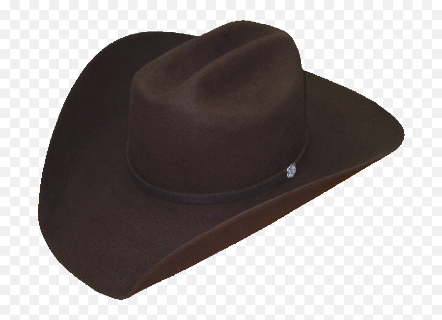 Cowboy Hat Styles Hallycustom Hats Gif - Cowboy Hat Png,Transparent Hats