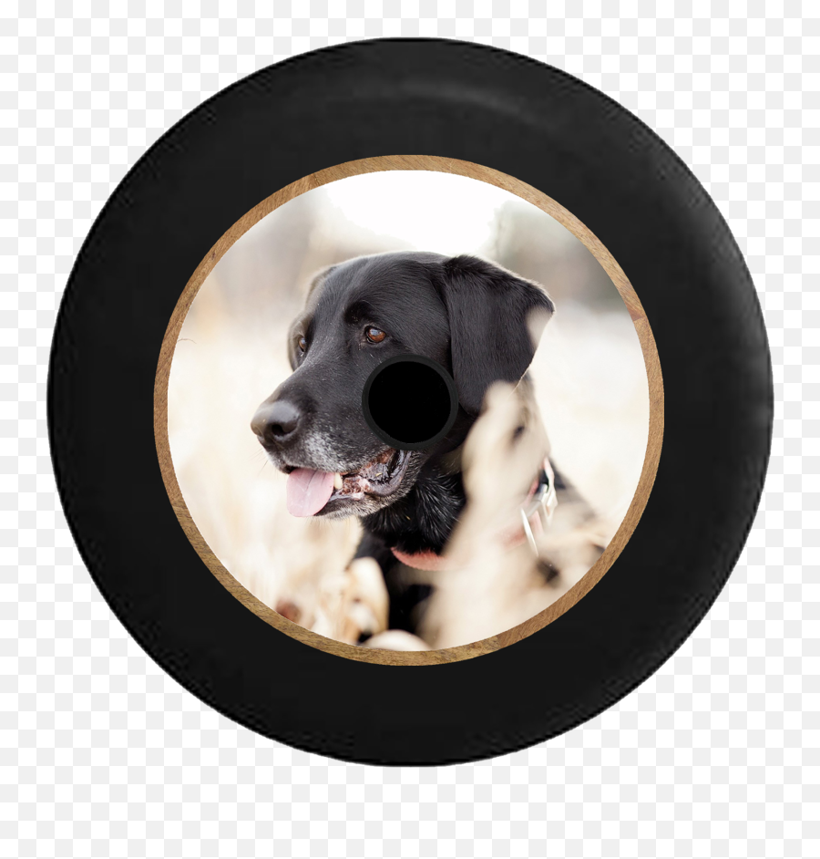 Jeep Wrangler Jl Backup Camera Black Lab Retriever Hunting Dog Camper Spare Tire Cover - Custom Sizecolorink R229 Labrador Retriever Png,Black Lab Png