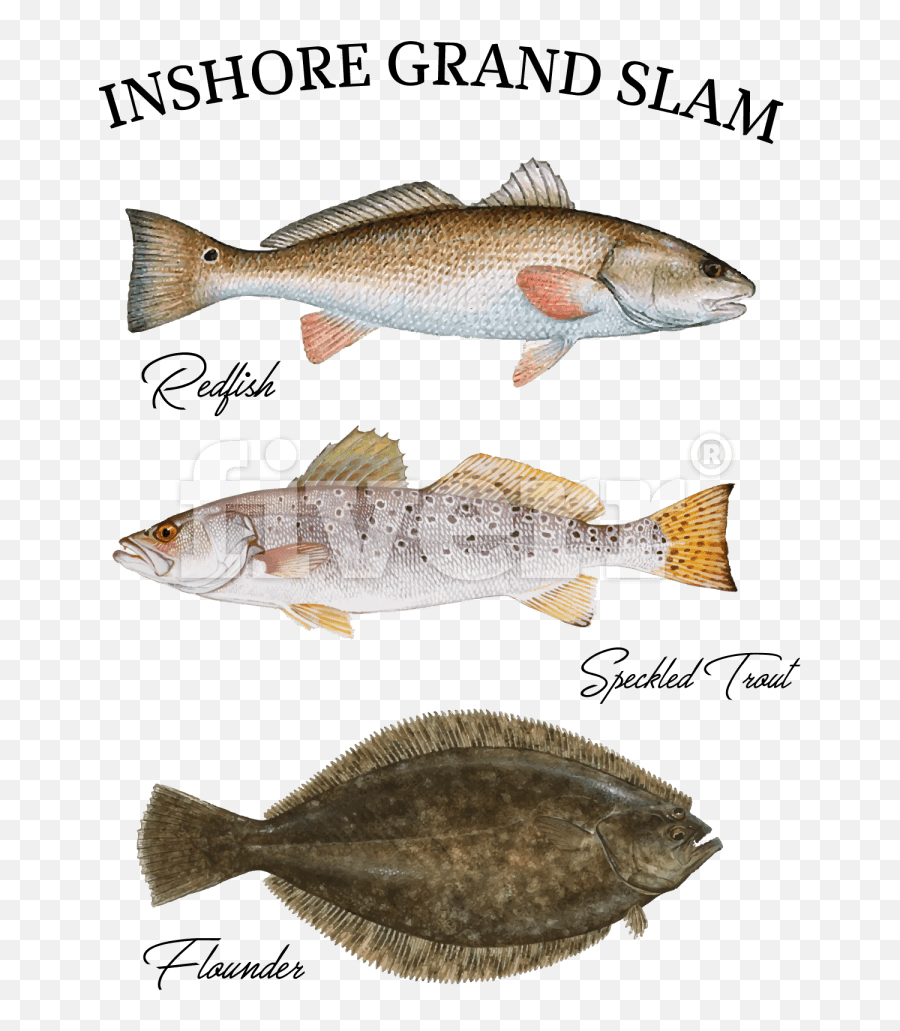 Speckled Trout Pillow Case Png Download - Drum Fish In Redfish Flounder Speckled Trout,Trout Png
