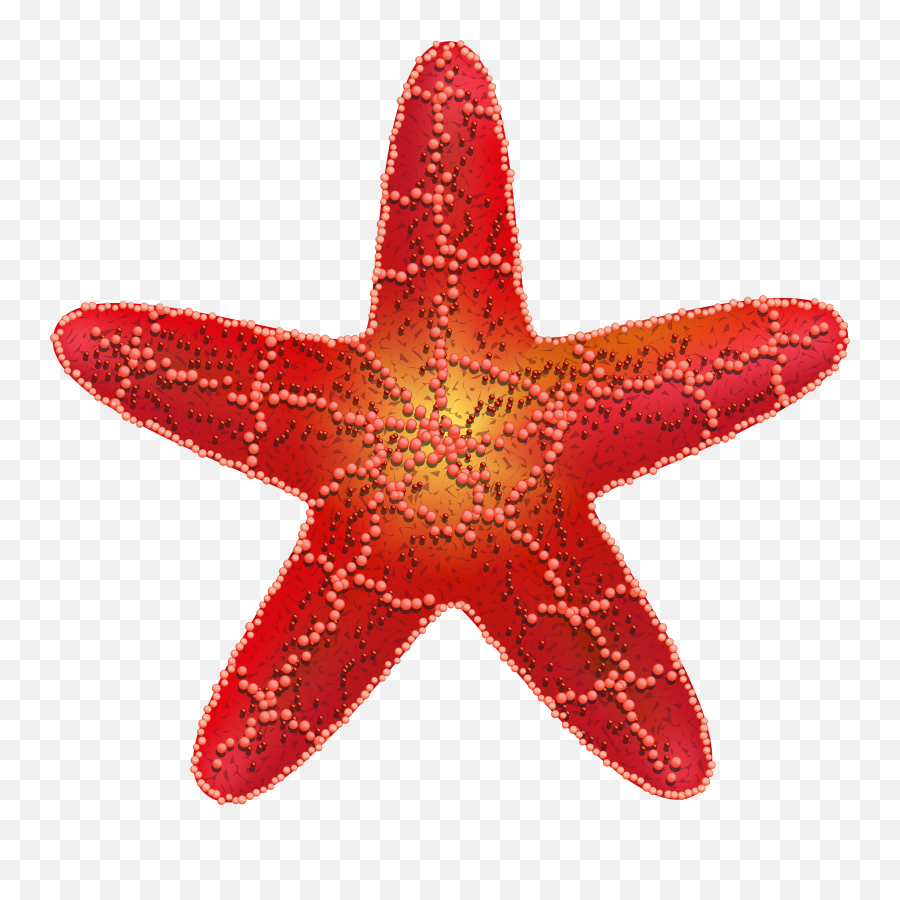 Starfish Png - Happy Birthday Background Red And Yellow Balloons,Starfish Transparent Background