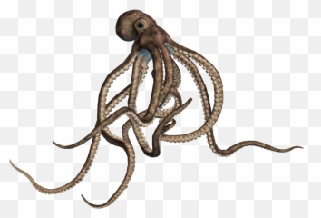 Octopus Png Transparent Free Images - Octopus Transparent Png,Octopus Transparent