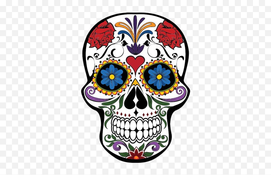 Floral - Skull Drawing For Day Of The Dead Png,Skull Vector Png