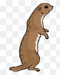 Otter Png File - Cartoon Otter Standing Up,Otter Png