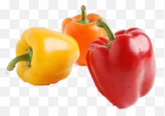 Bell Pepper Png Free Download - Peppers