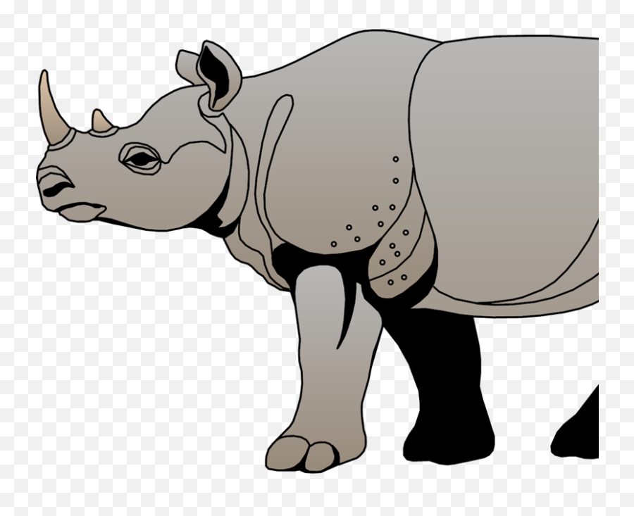 Rhinoceros Svg Vector Clip Art - Svg Clipart Badak Png,Rhinoceros Png