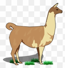 Llama Clipart Free Download Transparent Png Creazilla - Llama Body Parts,Llama Transparent