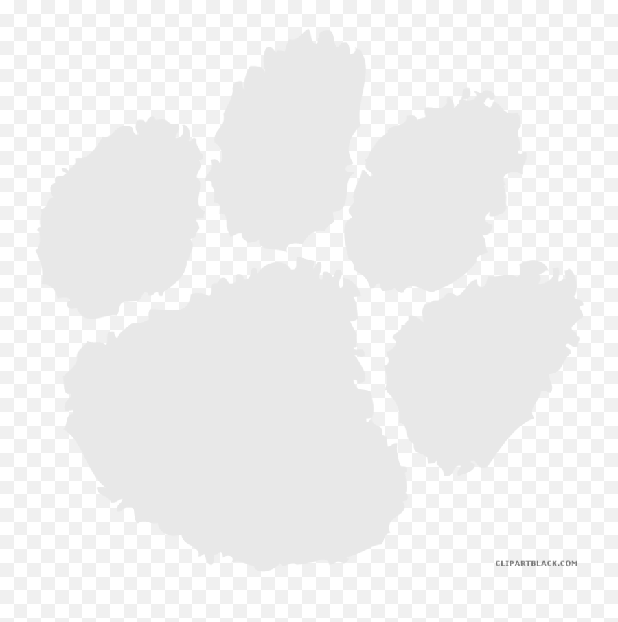 white wildcat paw logo