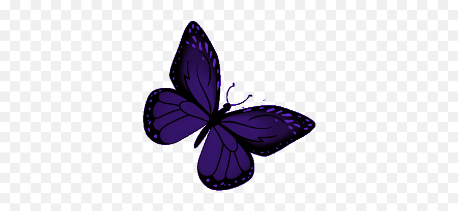 Butterfly Indigo Gif - Butterfly Indigobutterfly Transparent Purple Butterfly Gif Png,Butterfly Gif Transparent