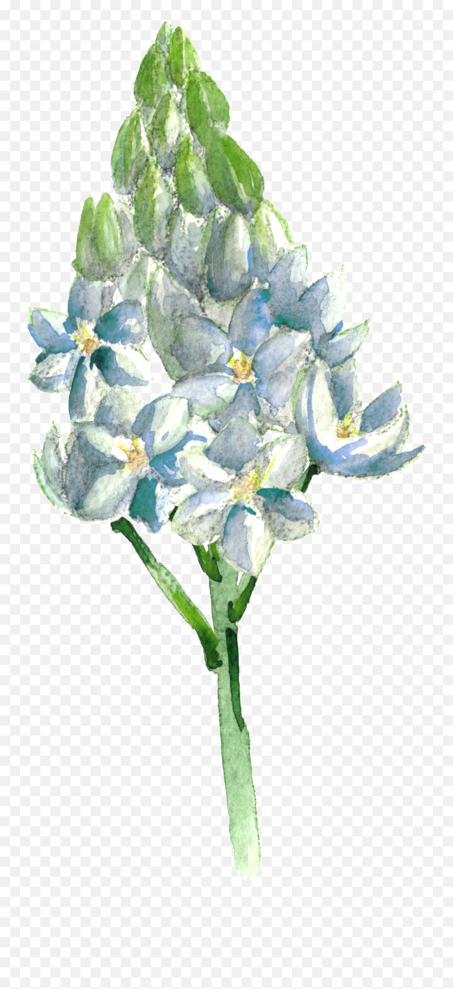 Download This Graphics Is Hand Painted Blue Flowers - Alpine Png,Blue Flowers Transparent