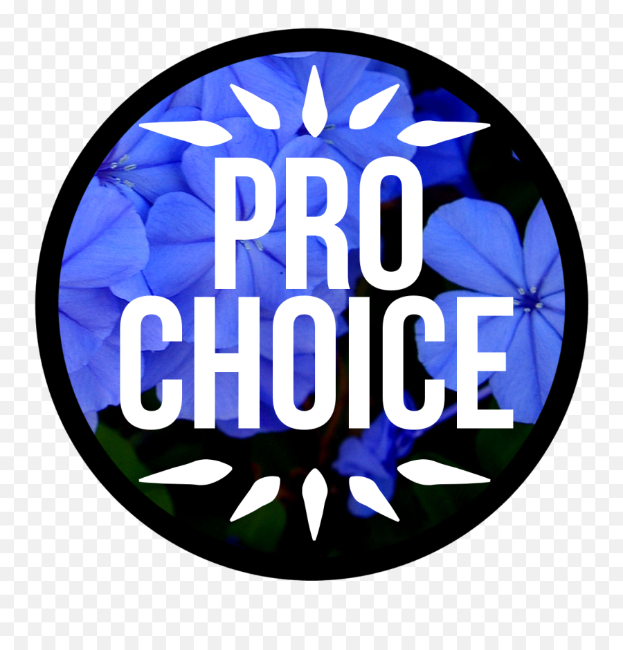 Pro Choice Png Transparent Choicepng Images Pluspng - Circle,Feminism Png