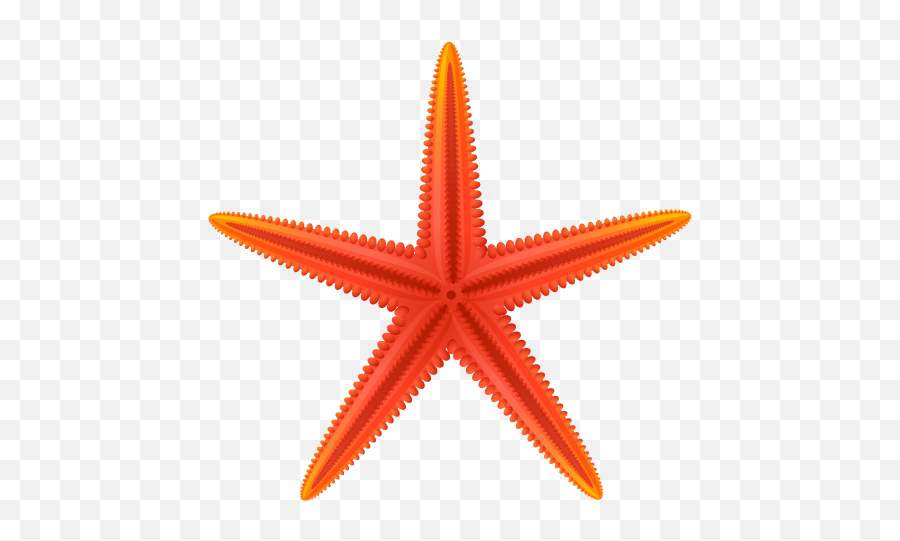 Png Background - Red Starfish Clipart,Starfish Transparent