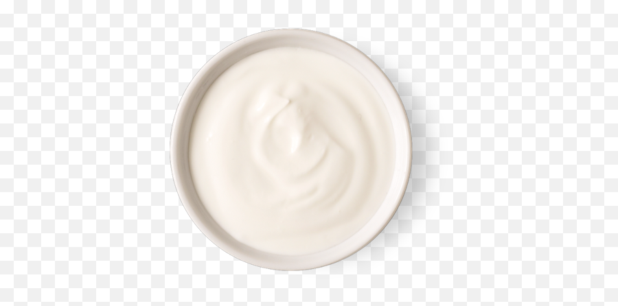 Chipotle - Yogurt Top View Png,Sour Cream Icon