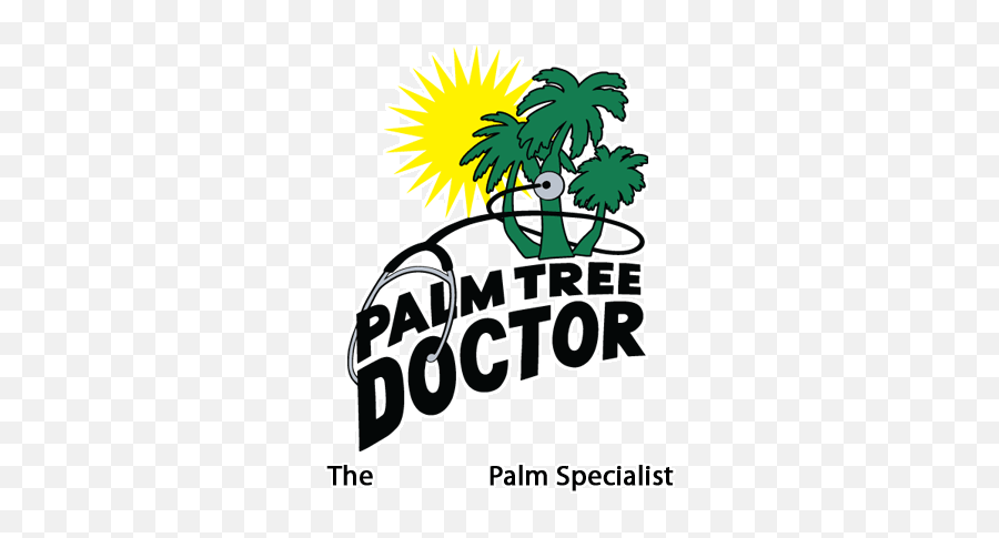Palm Tree Doctor - Royal Palm Diseases Png,Palm Tree Logo