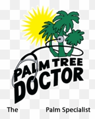 Palm Tree Doctor - Royal Diseases png