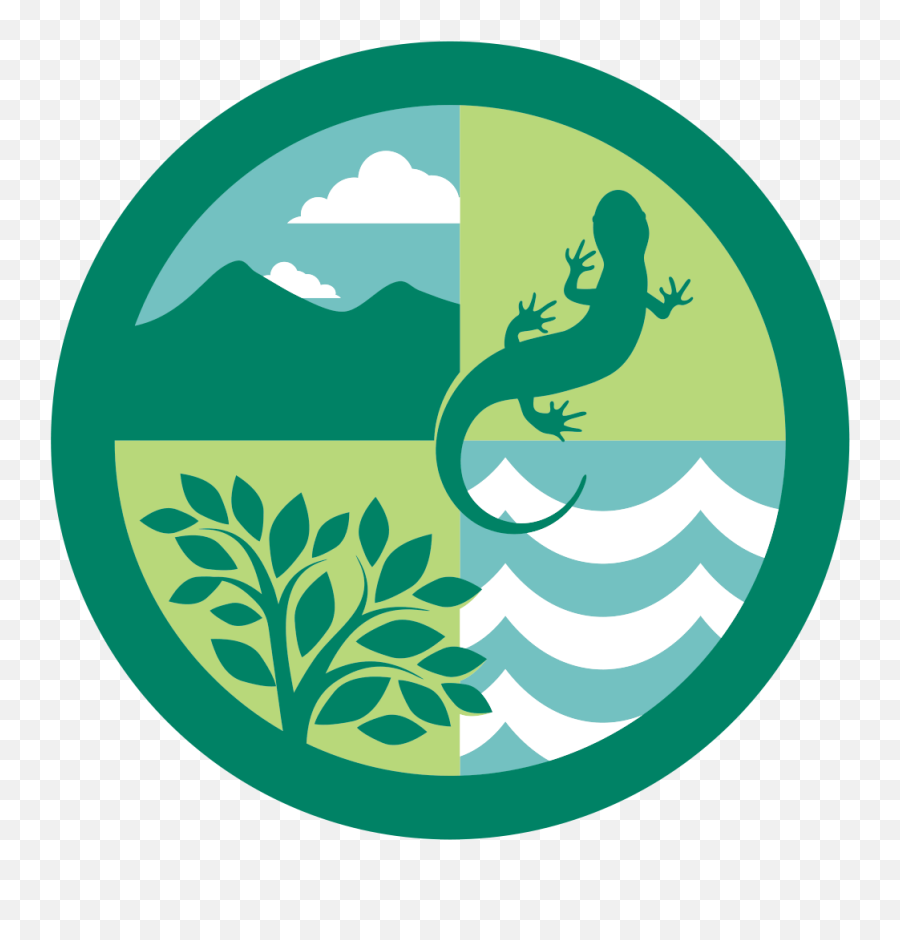 Clipart Forest Ecosystem - Transparent Ecosystems Icon Png,Simple Tree Icon