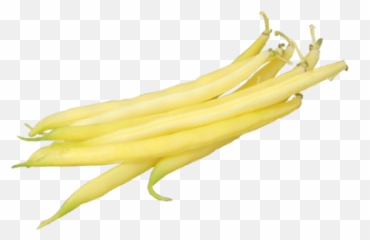 Green Beans Transparent Png - Stickpng Honeysuckle,Green Beans Png