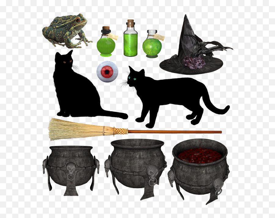 Freetoedit Sticker Witch Halloween Cauldron Broom - Clipart Witches Cauldron Png,Cauldron Png
