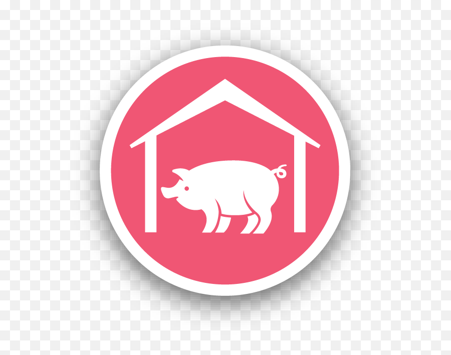 Virtual Tour Australian Pork - Language Png,Pork Icon