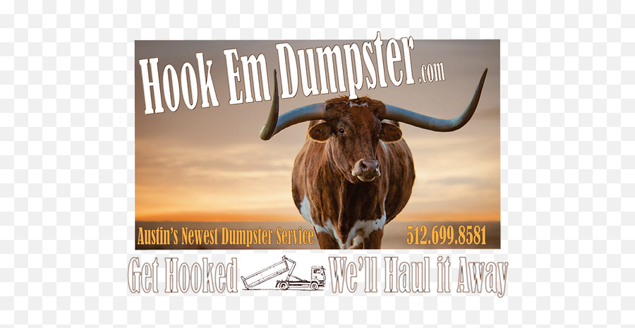 Home Absolutestucco - Texas Longhorn Photography Png,Longhorn Icon Set