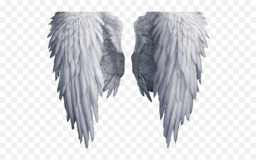 Angel Outline Png - White Angel Wings Png,Angel Transparent Background
