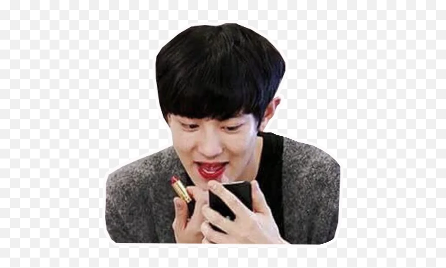 Telegram Sticker From Exo Pack - Male Kpop Idols Lipstick Png,Woozi Icon