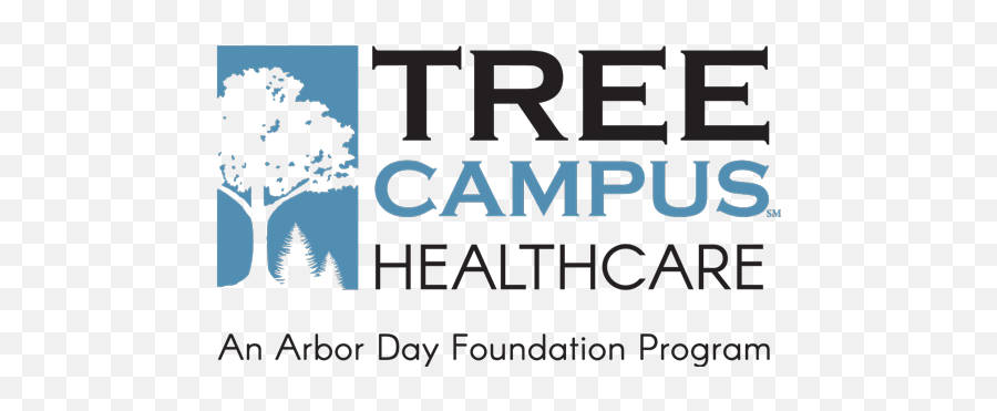Tree Campus Healthcare - The Arbor Day Foundation Colorado Spruce Png,Trees In Plan Png