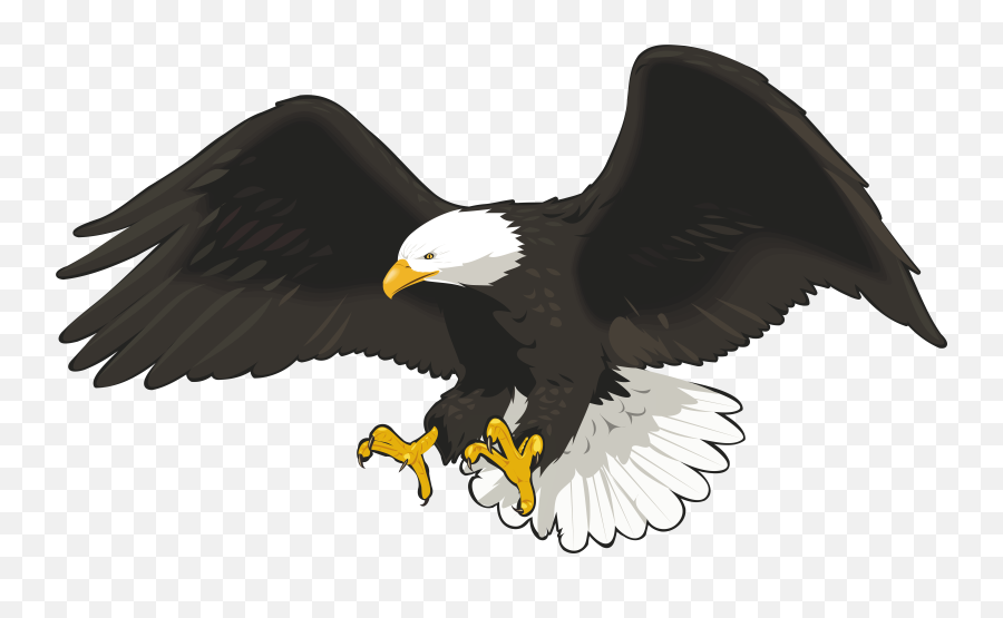Bald Eagle Clip Art - Falcon Png Downloa 1596077 Png,Falcon Png