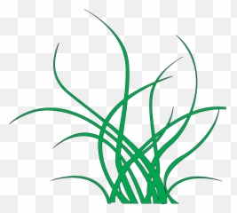 Seaweed Green - Free Image On Pixabay Yosun Png,Seaweed Png