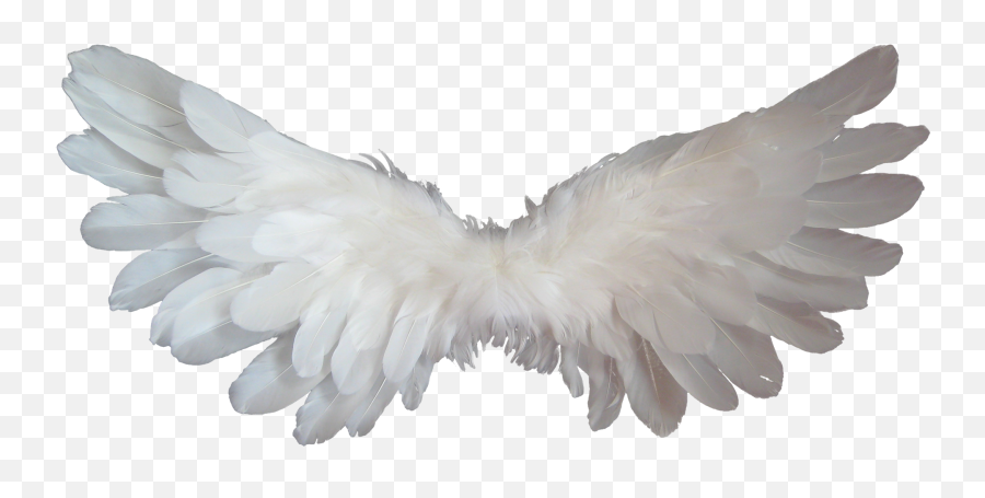 Angel Heaven Clip Art - Baby Angel Wings Png,Wing Png